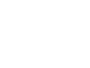 Geckojoy