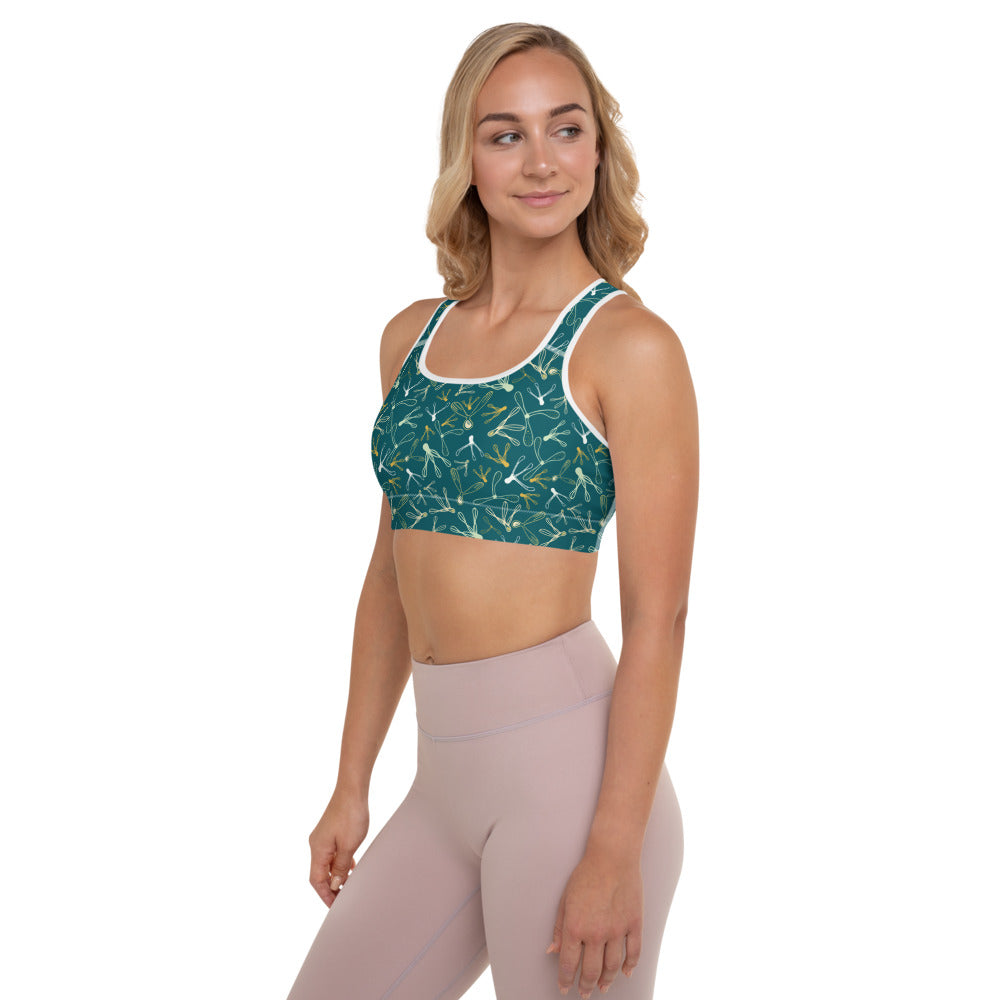 Padded Sports Bra-Geckojoy